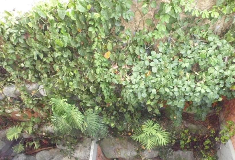 Hotel Suites House Juanambu | Cali | Valle del Cauca | Colombia 1