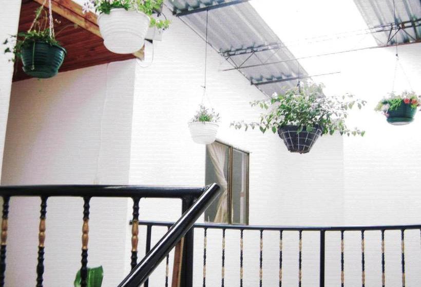 Hotel Frankfurt | Villavicencio | Meta | Colombia 13