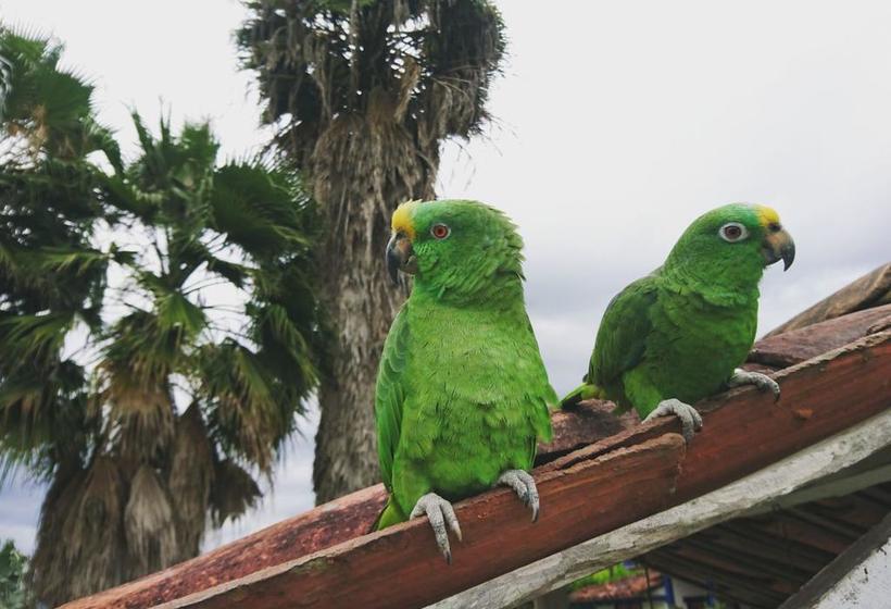 Finca Hotel El Percal | Montenegro | Quindío | Colombia 6