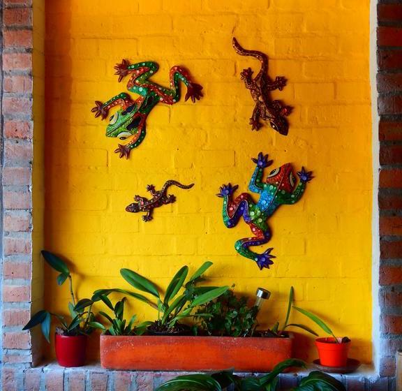 Hotel Eden Tropical | La Tebaida | Quindío | Colombia 13