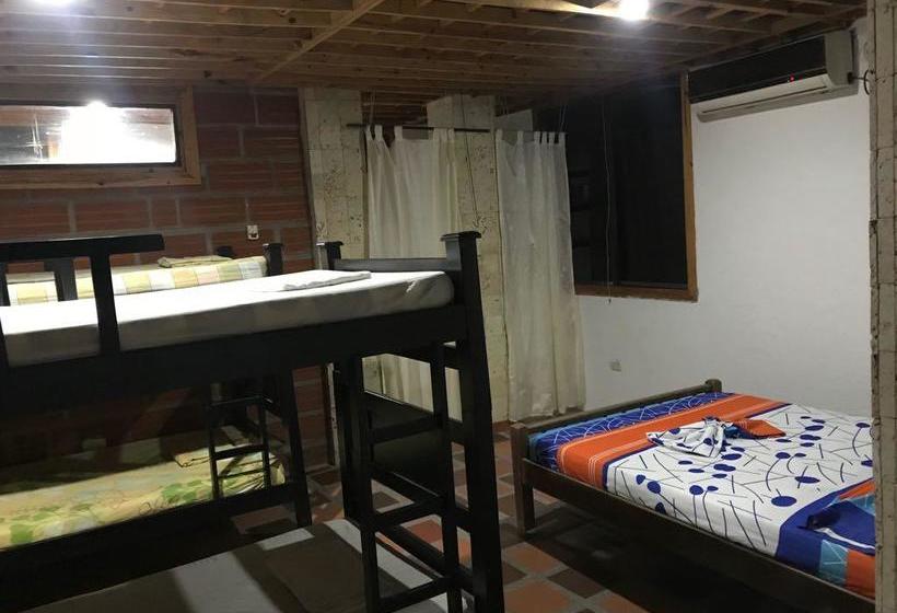 Hotel Y Cabañas Brisas Del Caribe | Santa Marta | Magdalena | Colombia 13