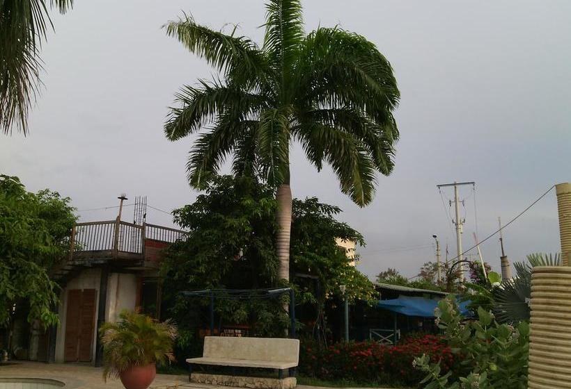 Hotel Y Cabañas Brisas Del Caribe | Santa Marta | Magdalena | Colombia 16