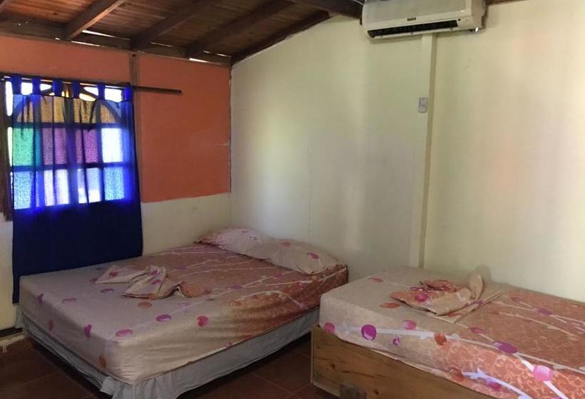 Hotel Y Cabañas Brisas Del Caribe | Santa Marta | Magdalena | Colombia 6