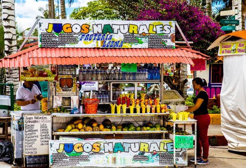 Hotel Camino Nacional Salento | Salento | Quindío | Colombia 14
