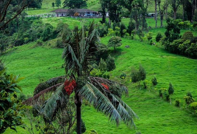 Hotel Camino Nacional Salento | Salento | Quindío | Colombia 5
