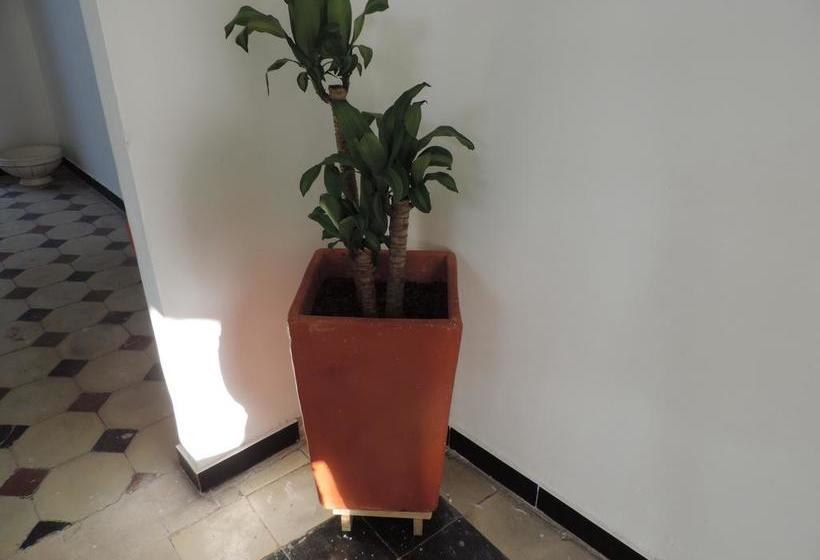 Albergue Hostal Jetset | Cartagena de Indias | Bolivar | Colombia 13