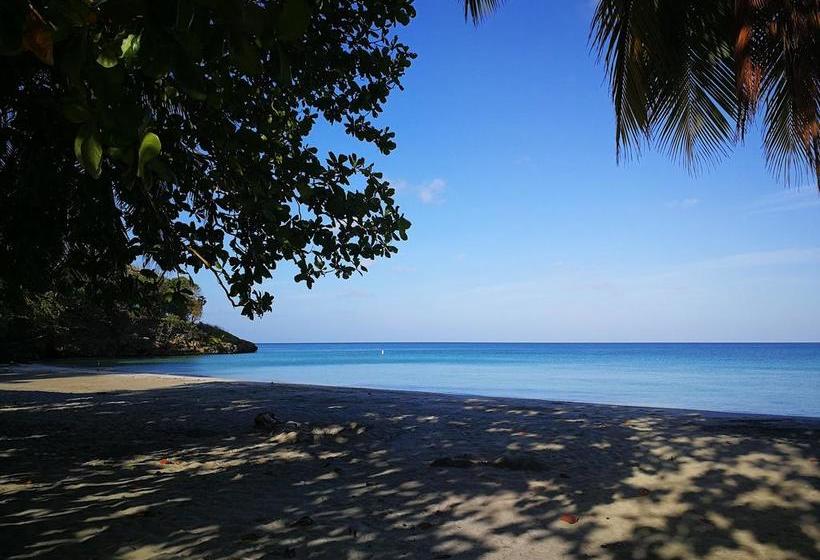 Hotel Cabañas El Recreo | Providencia | San Andres y Providencia | Colombia 6