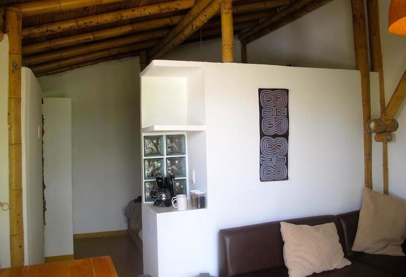 Hostel Tralala Salento | Salento | Quindío | Colombia 10