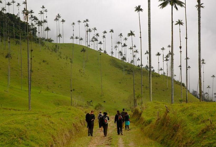 Hostel Tralala Salento | Salento | Quindío | Colombia 13