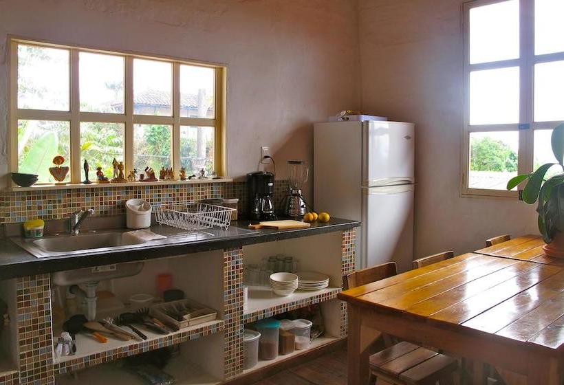 Hostel Tralala Salento | Salento | Quindío | Colombia 5