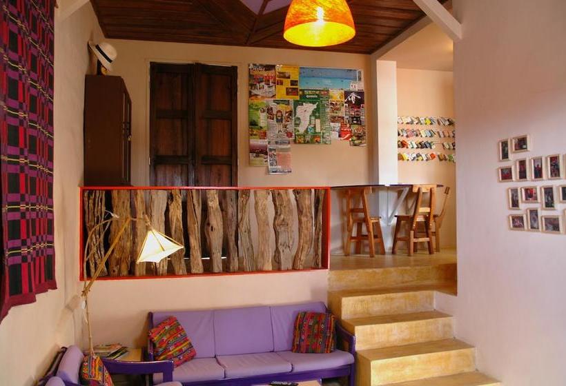 Hostel Tralala Salento | Salento | Quindío | Colombia 6