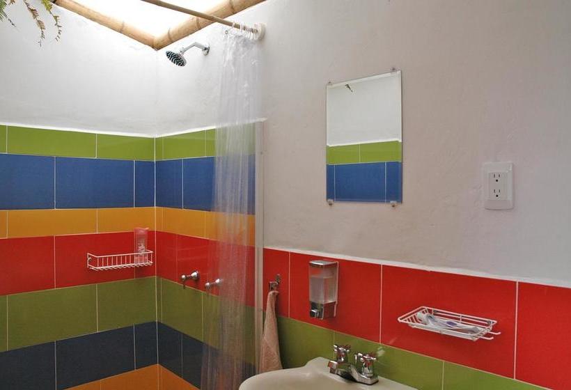 Hostel Tralala Salento | Salento | Quindío | Colombia 7