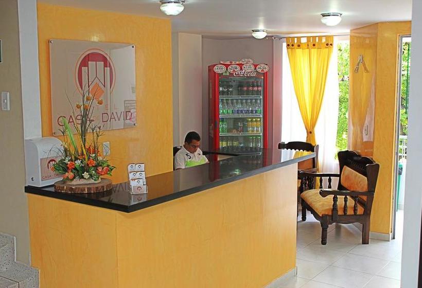Hotel Casa De David Casanare