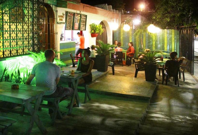 La Guaca Hostel | Santa Marta | Magdalena | Colombia 16