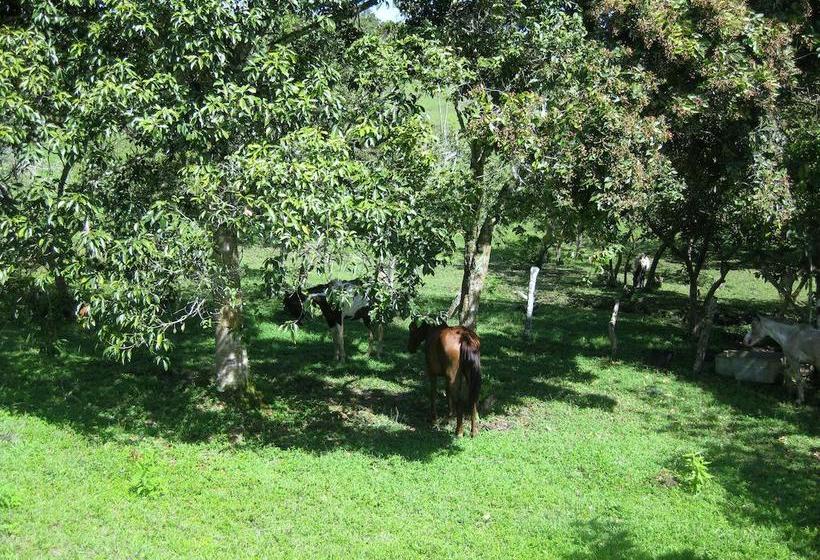 Hotel Finca El Cielo | San Agustin | Huila | Colombia 10