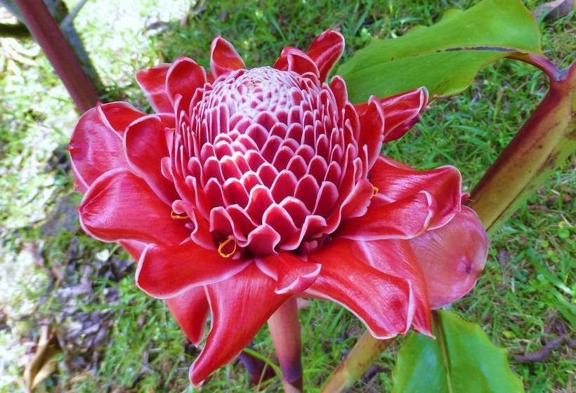 Hotel Finca El Cielo | San Agustin | Huila | Colombia 11