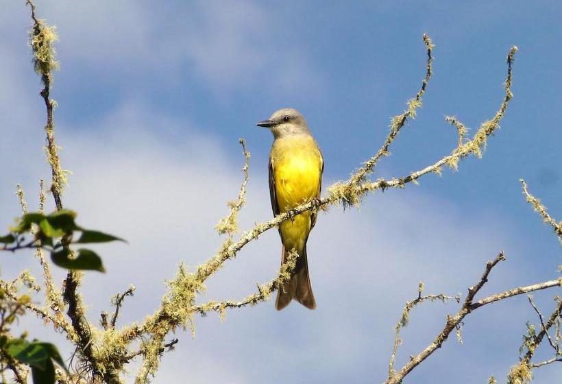 Hotel Finca El Cielo | San Agustin | Huila | Colombia 13