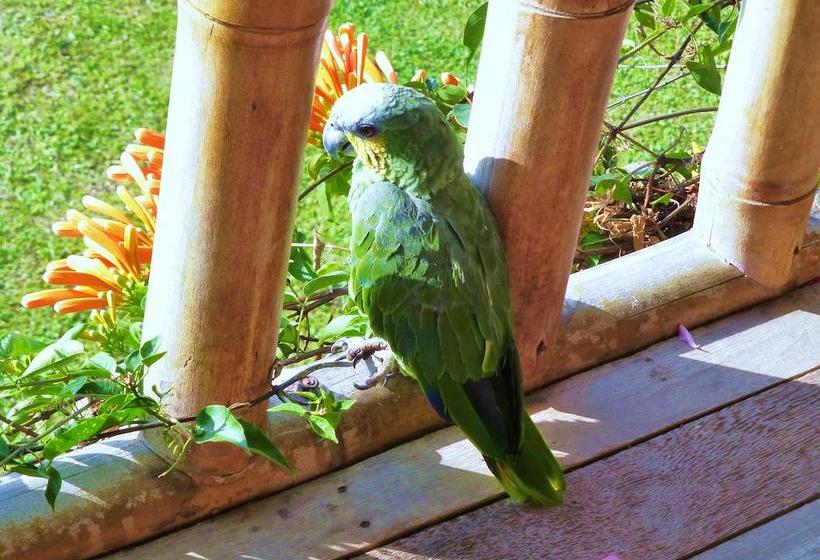 Hotel Finca El Cielo | San Agustin | Huila | Colombia 14