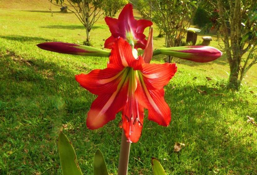 Hotel Finca El Cielo | San Agustin | Huila | Colombia 7