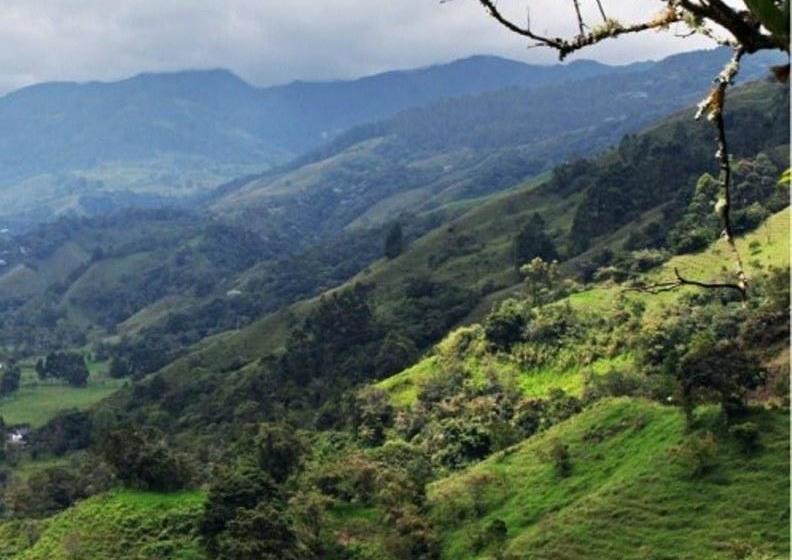 Salento Finca Hotel Mundo Nuevo | Salento | Quindío | Colombia 2