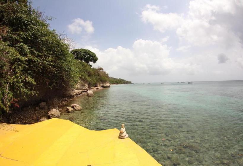 Blue Almond Hostel  Providencia | Providencia | San Andres y Providencia | Colombia 11