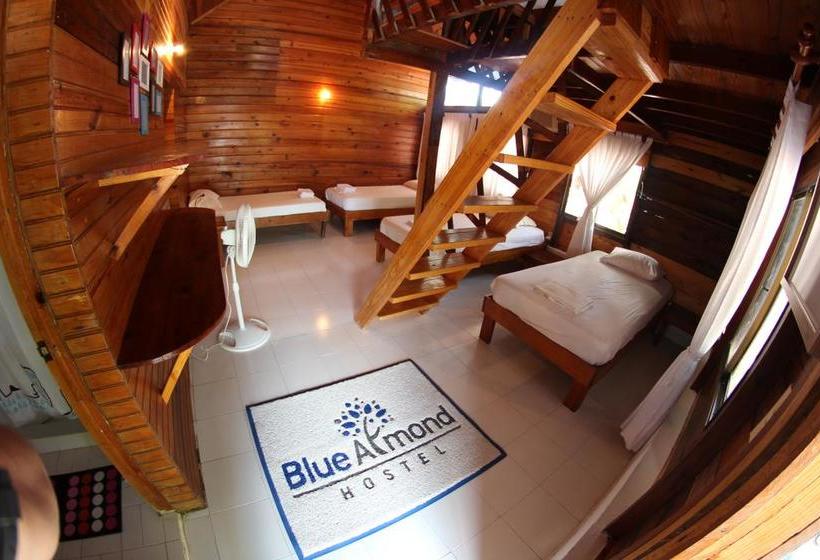 Blue Almond Hostel  Providencia | Providencia | San Andres y Providencia | Colombia 14