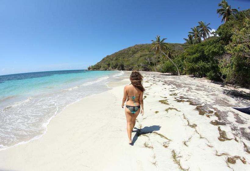 Blue Almond Hostel  Providencia | Providencia | San Andres y Providencia | Colombia 17