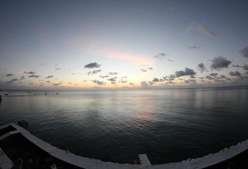 Blue Almond Hostel  Providencia | Providencia | San Andres y Providencia | Colombia 3