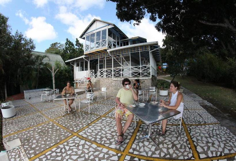 Blue Almond Hostel  Providencia | Providencia | San Andres y Providencia | Colombia 4