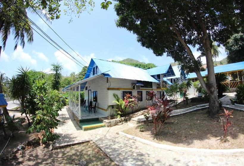 Blue Almond Hostel  Providencia | Providencia | San Andres y Providencia | Colombia 9