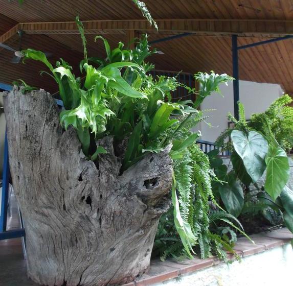 Hotel Campestre El Molino | Honda | Tolima | Colombia 17