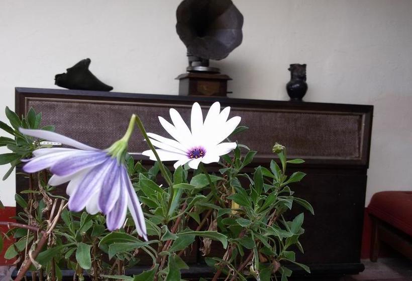 Hotel Cacique Real | Zipaquirá | Cundinamarca | Colombia 13