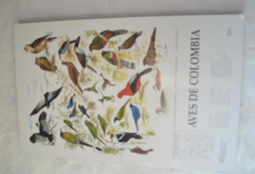 Hotel Salento Pequeño | Salento | Quindío | Colombia 18