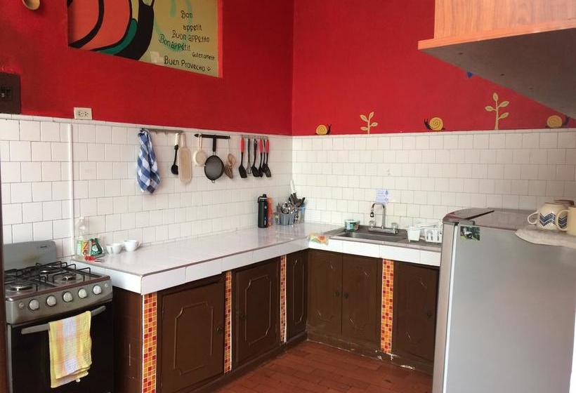 Hostel Caracol | Popayán | Cauca | Colombia 1