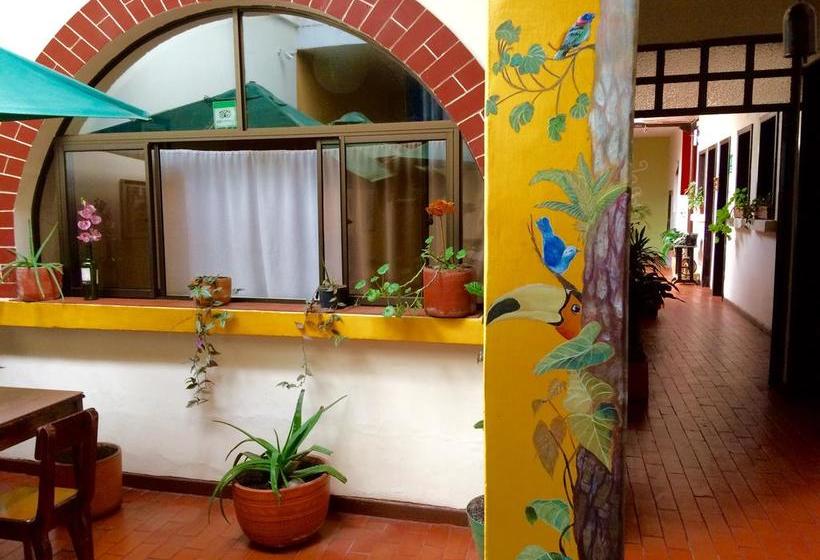 Hostel Caracol | Popayán | Cauca | Colombia 8