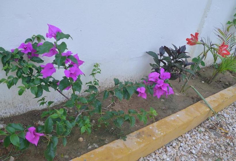 Hotel Costa Mar Coveñas | Coveñas | Sucre | Colombia 11