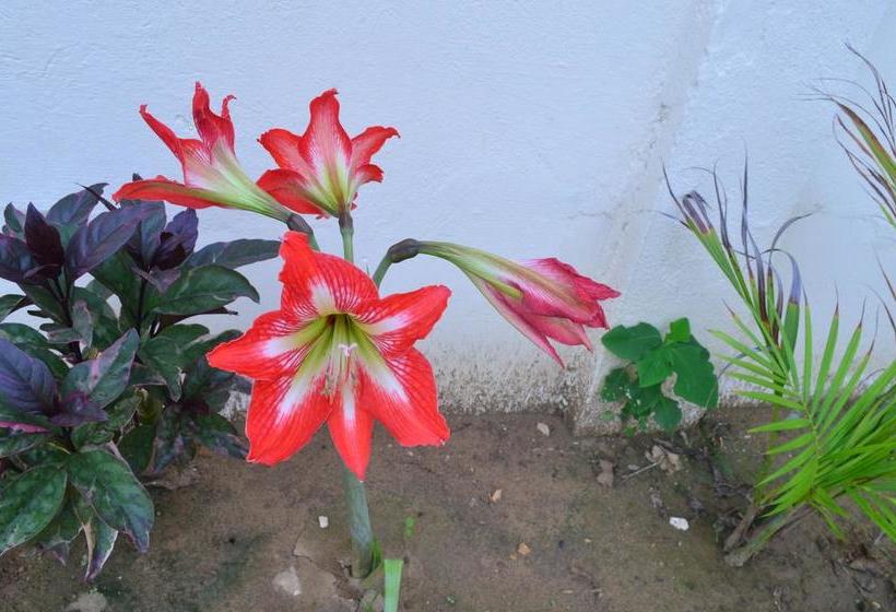 Hotel Costa Mar Coveñas | Coveñas | Sucre | Colombia 15