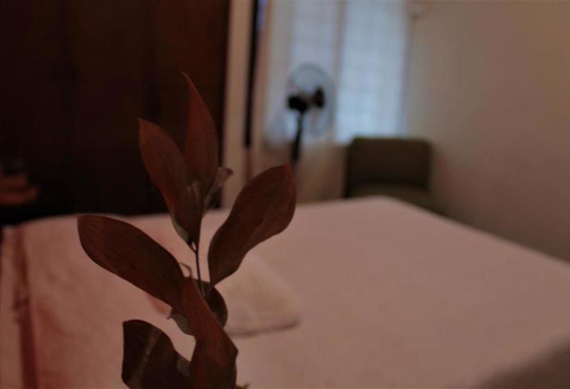 Casa Quimbaya Backpackers Hostel | Armenia | Quindío | Colombia 9