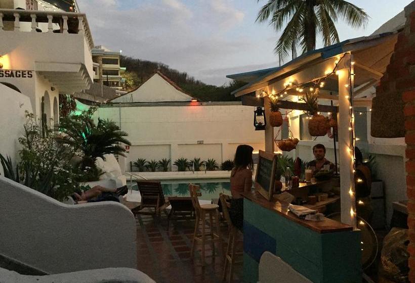 Calle 11 Hostel Santa Marta | Santa Marta | Magdalena | Colombia 6