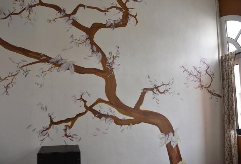 Albergue Hostal Kaleidoscopio | Manizales | Caldas | Colombia 2