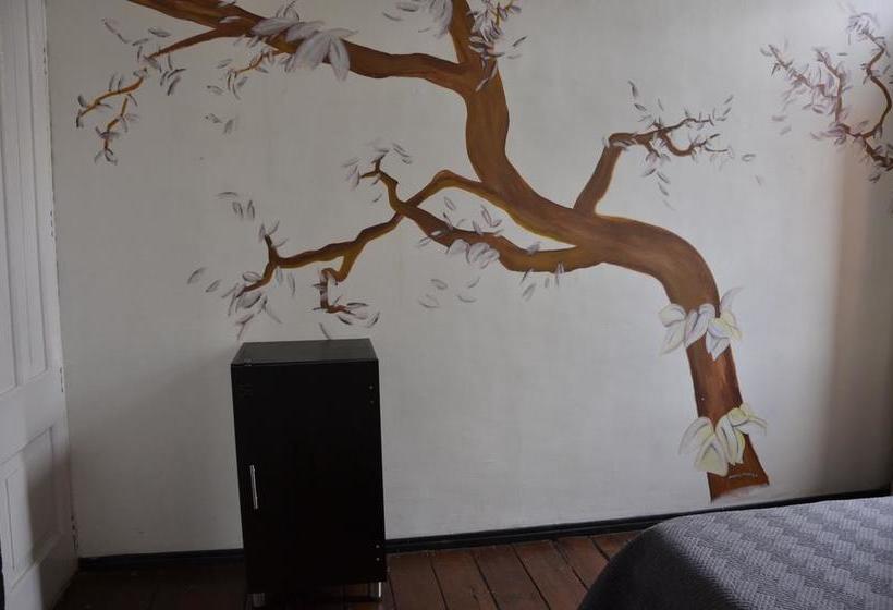 Albergue Hostal Kaleidoscopio | Manizales | Caldas | Colombia 4