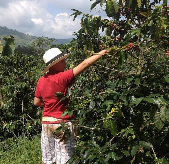 Finca Hotel Del Cafe | Santa Rosa de Cabal | Risaralda | Colombia 14