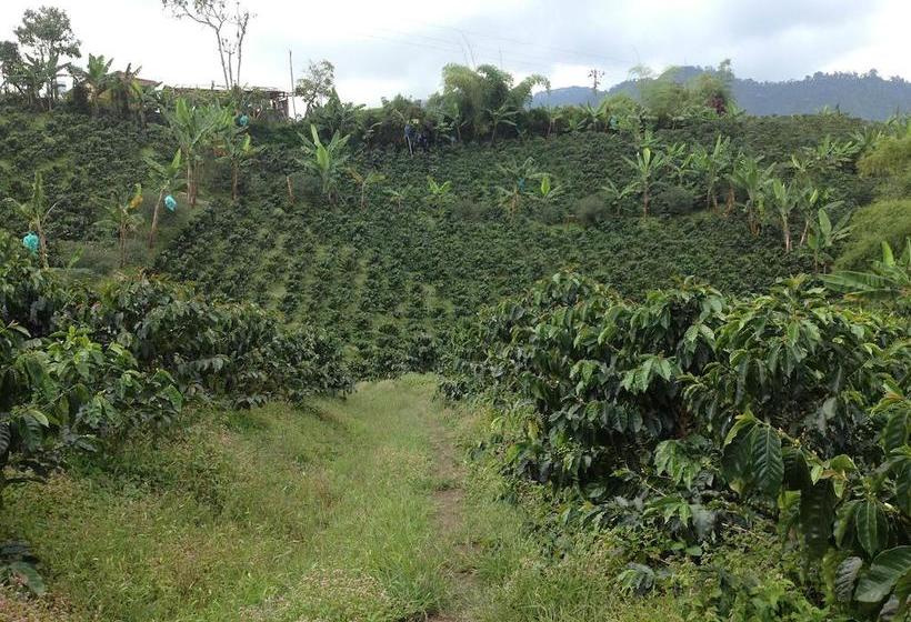Finca Hotel Del Cafe | Santa Rosa de Cabal | Risaralda | Colombia 4