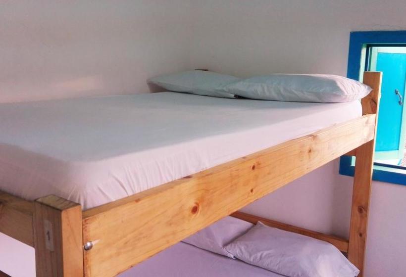 Albergue Hostal Estrella De Agua | Salento | Quindío | Colombia 8