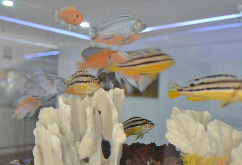 Hotel Kurakatá | Valledupar | Cesar | Colombia 18