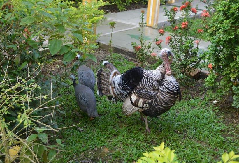 Hotel Cabañas Yakuruna | Leticia | Amazonas | Colombia 20