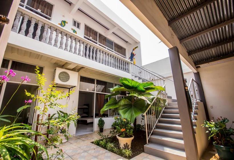 Casa Hotel Maüne | Leticia | Amazonas | Colombia 1