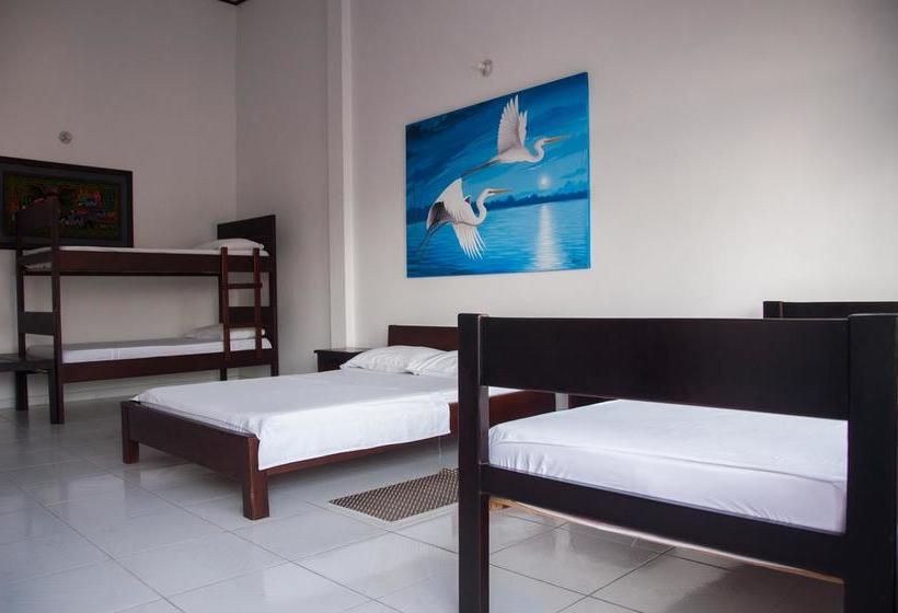 Casa Hotel Maüne | Leticia | Amazonas | Colombia 14