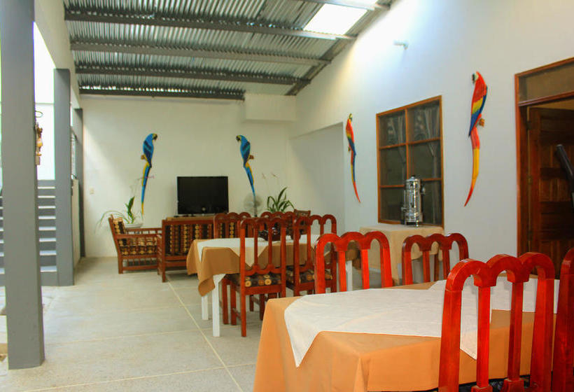 Casa Hotel Maüne | Leticia | Amazonas | Colombia 8