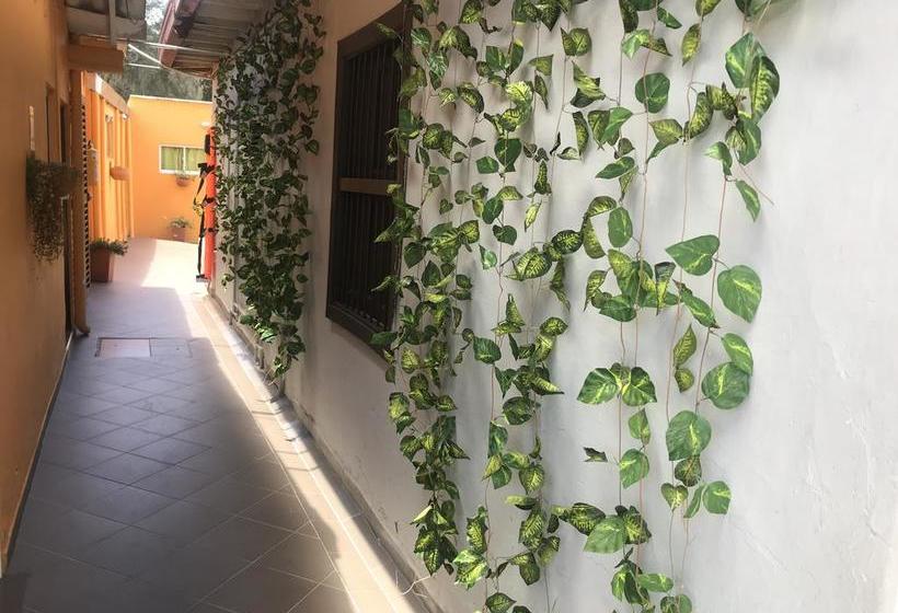 Albergue Hostal El Hangar | Rionegro | Antioquia | Colombia 10